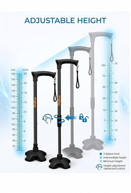 Walking Stick